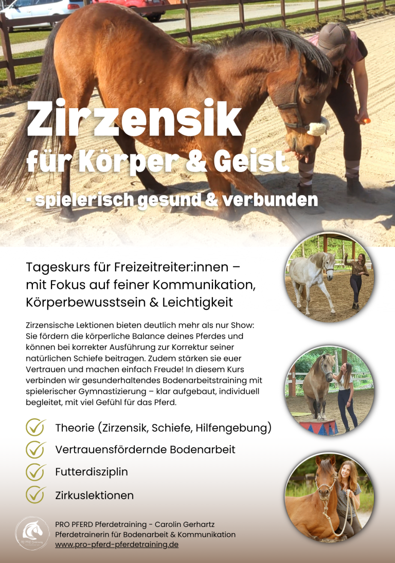 Zirzensik-Kurs mit Fokus auf Kommunikation, Körperbewusstsein und Gesundheit für Pferde.