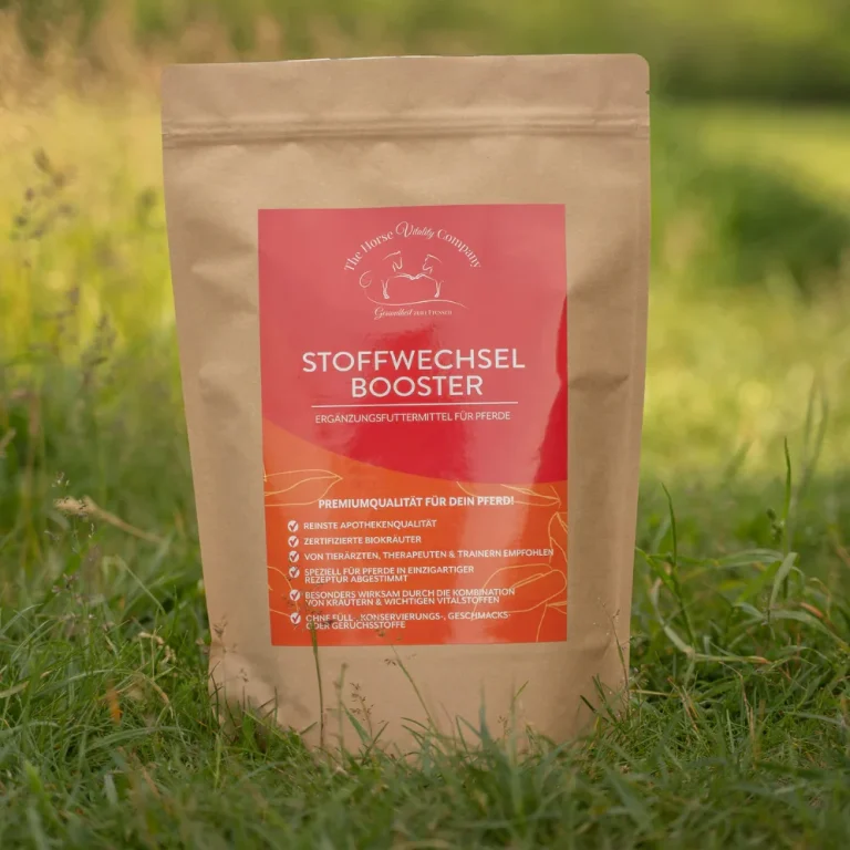 Braunes Pferd mit Kappzaum, Kopf leicht zur Seite geneigt, sanfte Gesichtszüge.